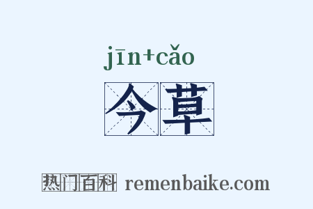 今草是什么意思的图片